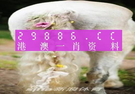 2023澳门精准一肖一码准确,3网通用：3DM56.82.15