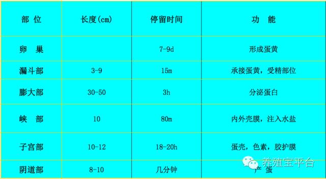 2024全年资料免费大全功能_最佳选择_实用版602.465