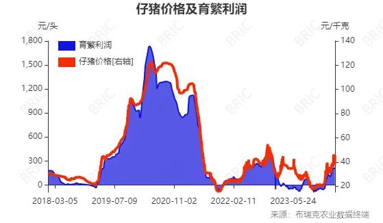 2024新澳精准资料大全_最佳选择_3DM95.22.99