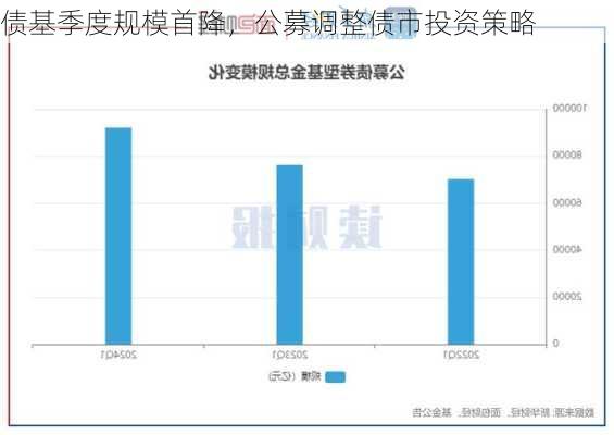 首批公募四季报：多只债基规模大涨，权益基金大幅调仓