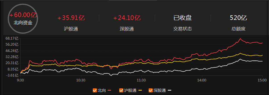 盘中必读|今日共119股涨停，市场放量走强创指涨超2%，算力概念集体大涨